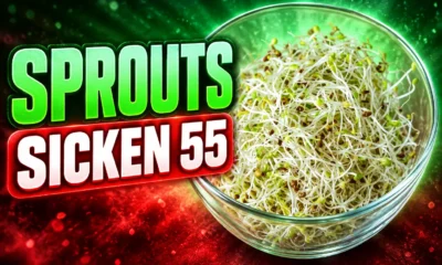 Everything Sprouts alfalfa recall 55 sick 15 states