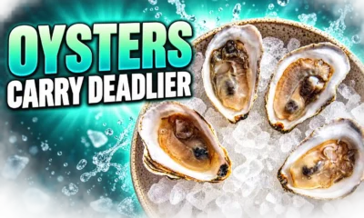 Louisiana Florida Vibrio oyster cases surge 2026