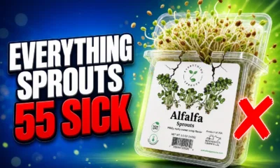 Everything Sprouts alfalfa recall 55 sick FDA warning