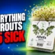 Everything Sprouts alfalfa recall 55 sick FDA warning