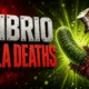 Louisiana Vibrio vulnificus 15 cases six deaths wounds