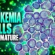leukemia cells mature with progranulin JAK2