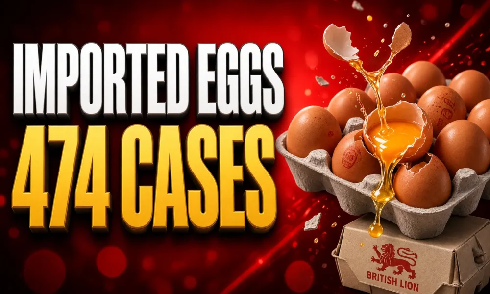 UKHSA Salmonella Enteritidis 474 cases imported catering eggs