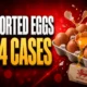 UKHSA Salmonella Enteritidis 474 cases imported catering eggs