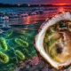 Louisiana Vibrio vulnificus 15 cases six deaths 2026